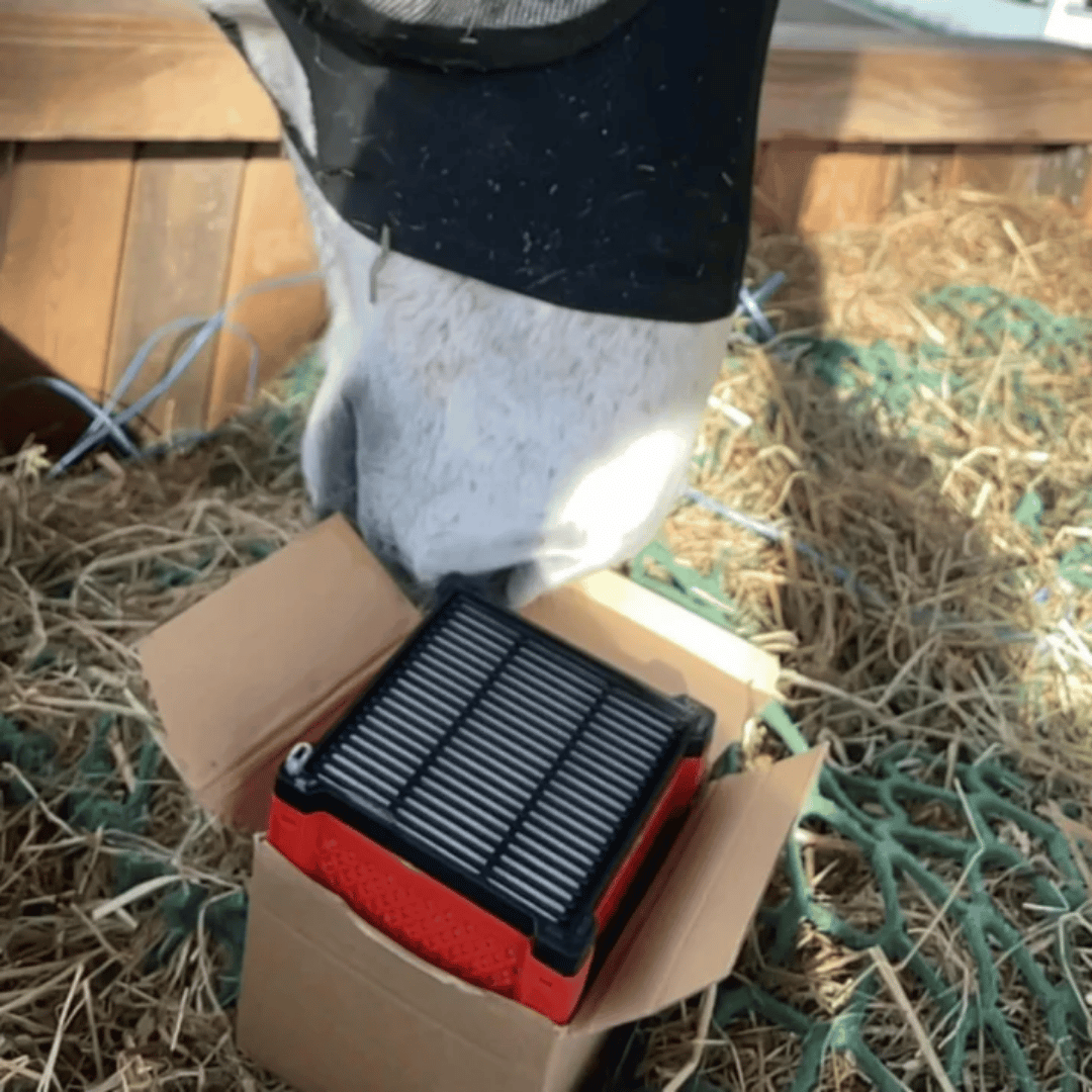Filterbox - Filtrerer virus og bakterier væk